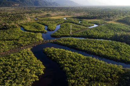 Nexans acts for a sustainable future
