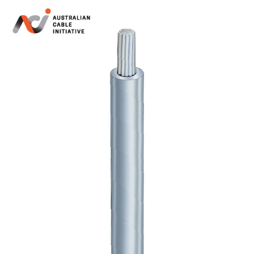 Type ACSR/AC